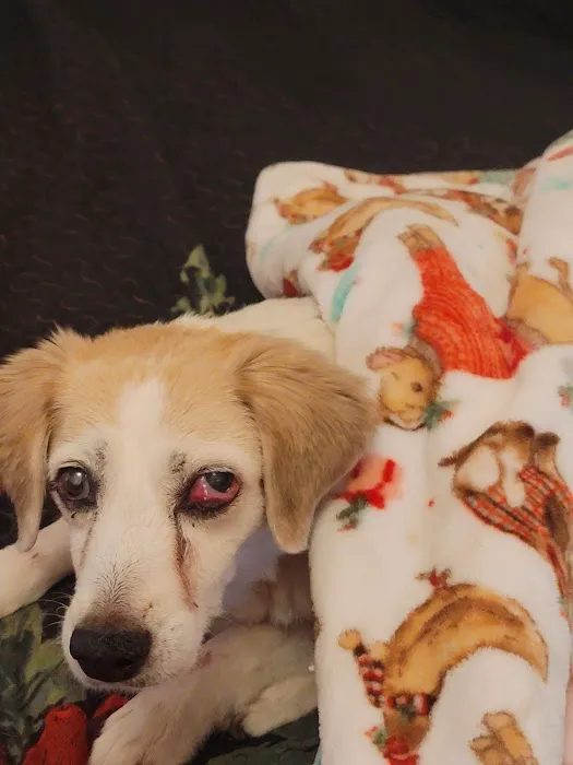 Anadarko Veterinary Clinic Picture 9