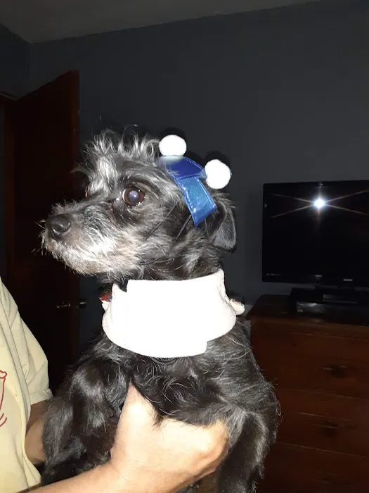 Anadarko Veterinary Clinic Picture 10