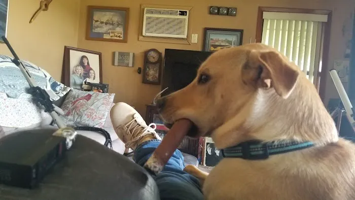 Rush Springs Veterinary Services Picture 2