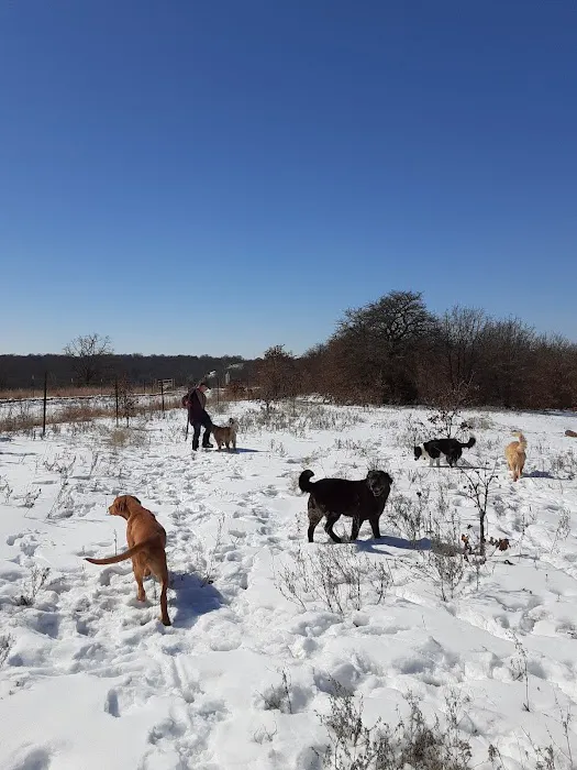 Rush Springs Veterinary Services Picture 4