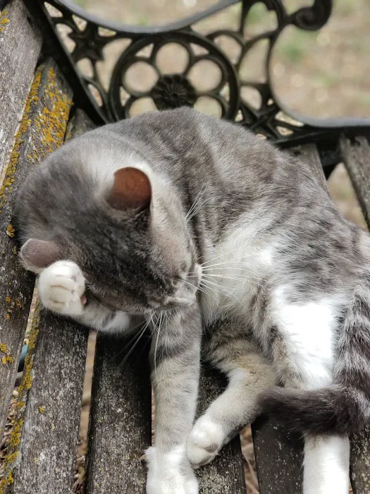 All Creatures Animal Hospital Picture 5