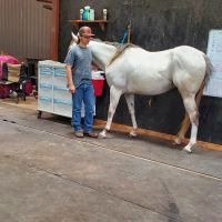 Thorne Jason DVM ico