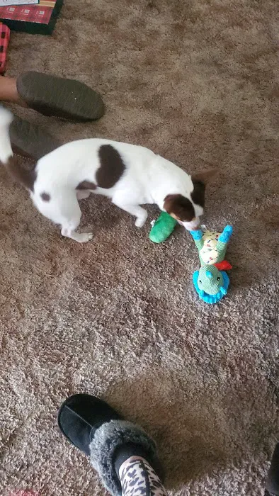 Thorne Jason DVM Picture 2