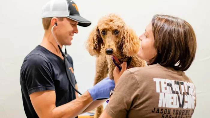 Thorne Jason DVM Picture 8