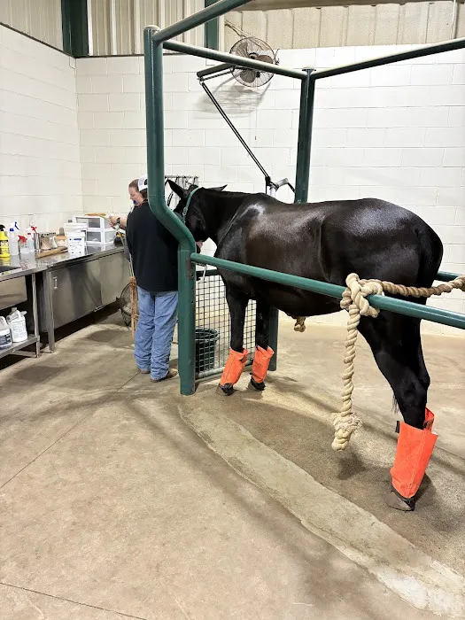 Highland Equine Hospital Picture 1