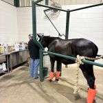 Highland Equine Hospital
