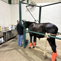 Highland Equine Hospital ico