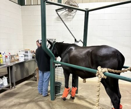 Highland Equine Hospital