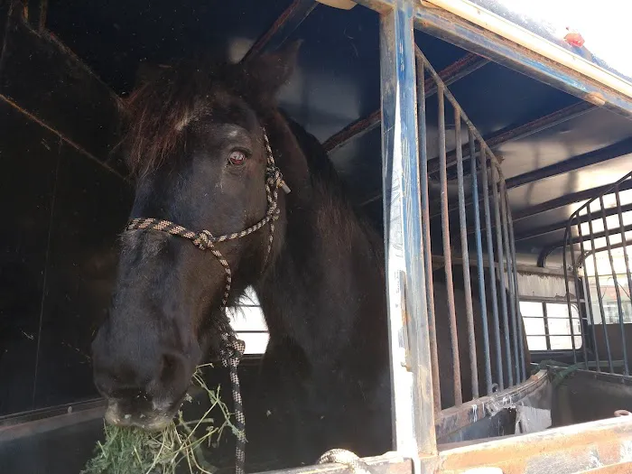 Highland Veterinary Clinic Picture 1