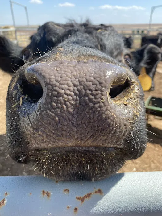 Highland Veterinary Clinic Picture 2