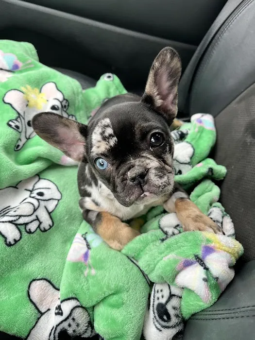 Highland Veterinary Clinic Picture 7