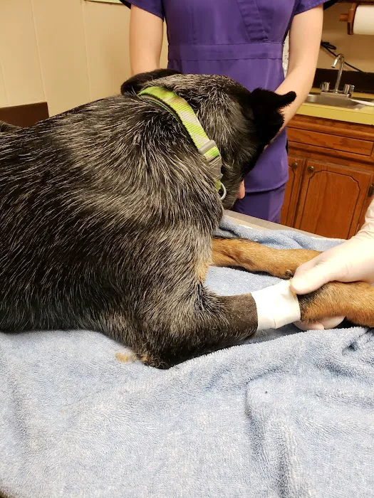 Highland Veterinary Clinic Picture 10