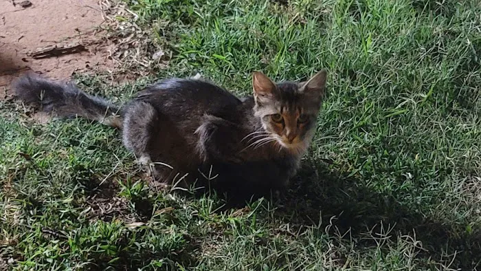 Clinton Veterinary Hospital Picture 2