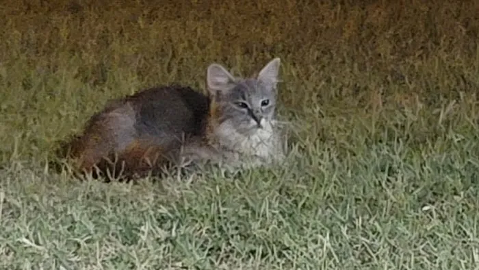 Clinton Veterinary Hospital Picture 5