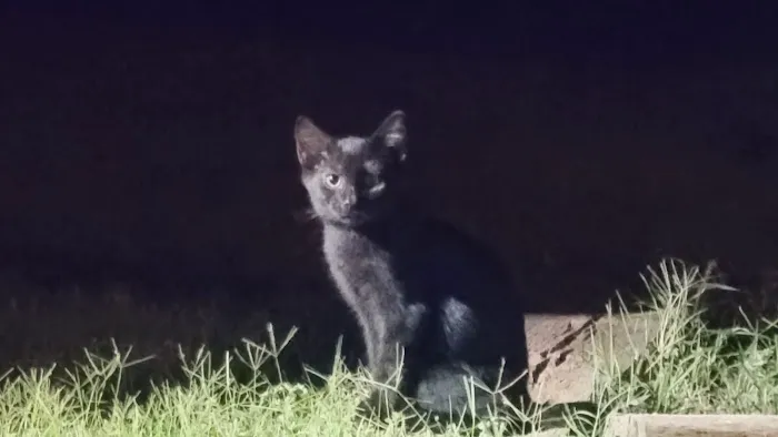 Clinton Veterinary Hospital Picture 6