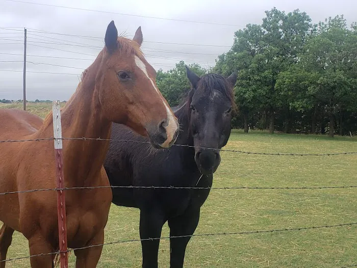 Clinton Veterinary Hospital Picture 4