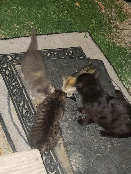 Clinton Veterinary Hospital Picture 8