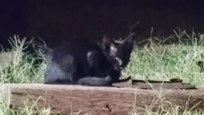 Clinton Veterinary Hospital Picture 9