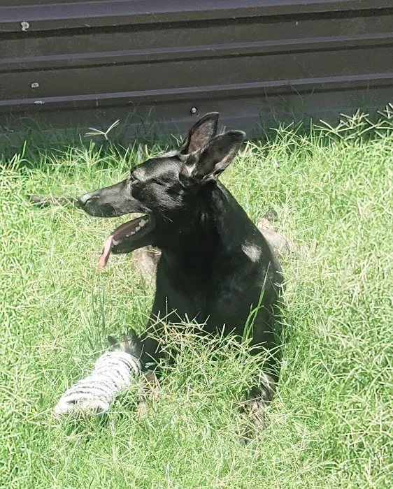 Clinton Veterinary Hospital Picture 7