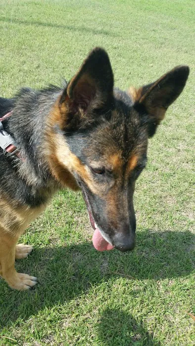 Bonham Jim DVM Picture 2