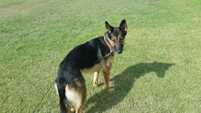 Bonham Jim DVM Picture 3