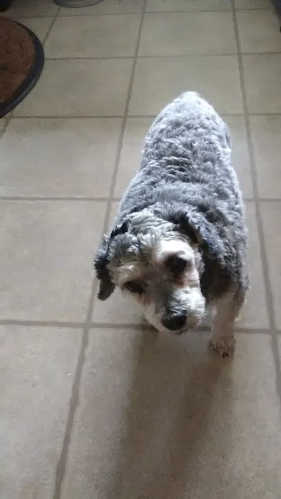 Turner's Veterinary Clinic Picture 1