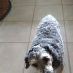 Turner's Veterinary Clinic