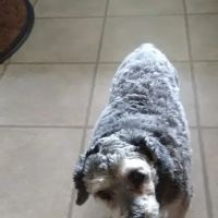 Turner's Veterinary Clinic ico