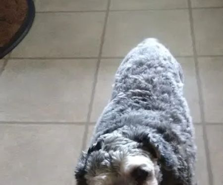 Turner's Veterinary Clinic