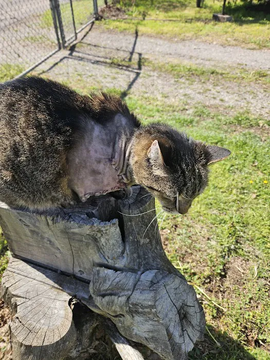 Harper Veterinary Services Picture 1