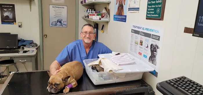 Salt Plains Veterinary Services Picture 3
