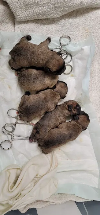 Salt Plains Veterinary Services Picture 2