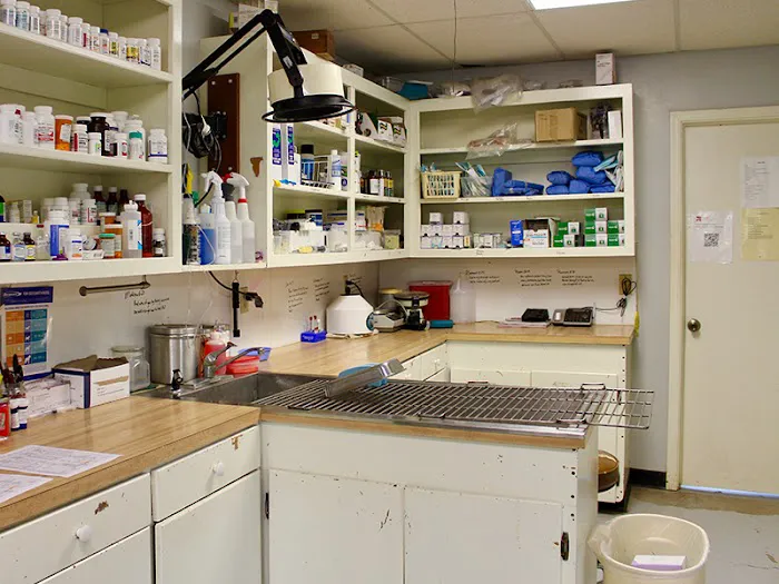 Hammond Veterinary Hospital Picture 1