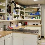 Hammond Veterinary Hospital