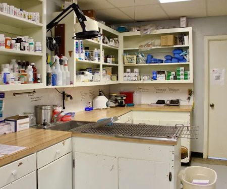 Hammond Veterinary Hospital