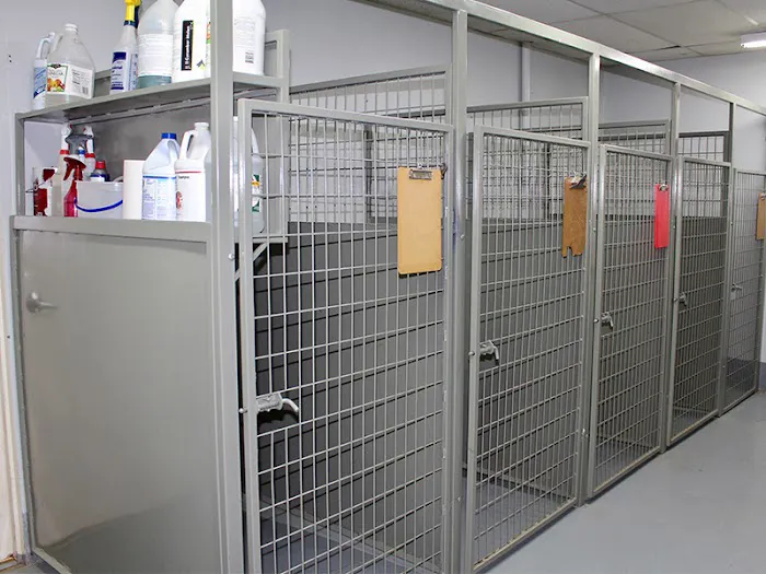 Hammond Veterinary Hospital Picture 5