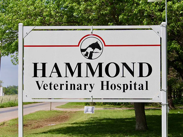 Hammond Veterinary Hospital Picture 7