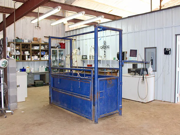 Hammond Veterinary Hospital Picture 8