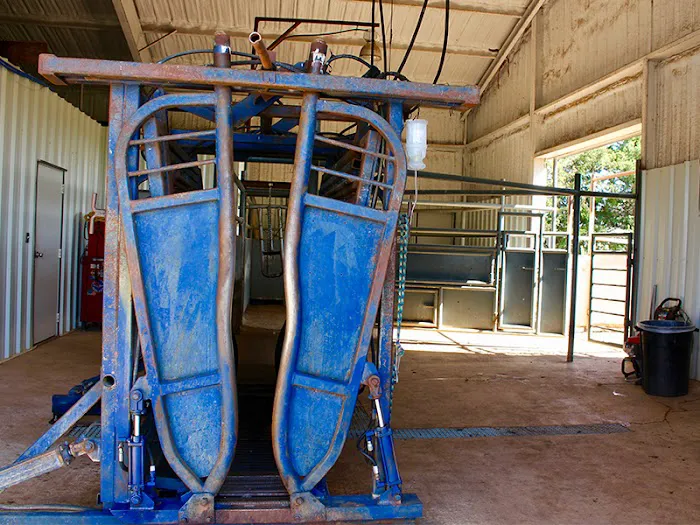 Hammond Veterinary Hospital Picture 9