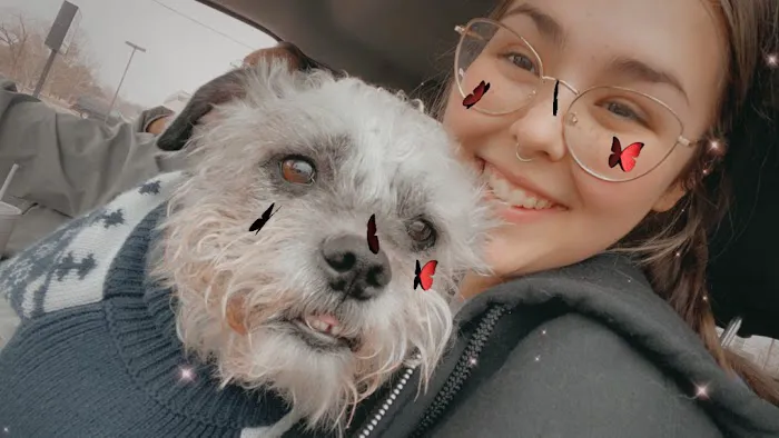 Osage Animal Hospital Picture 2