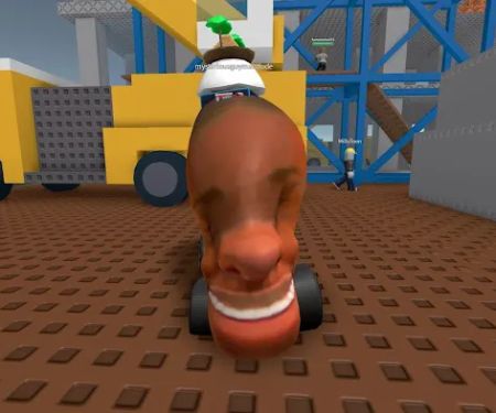 Osage Animal Hospital