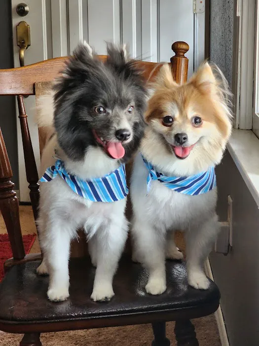 Osage Animal Hospital Picture 3