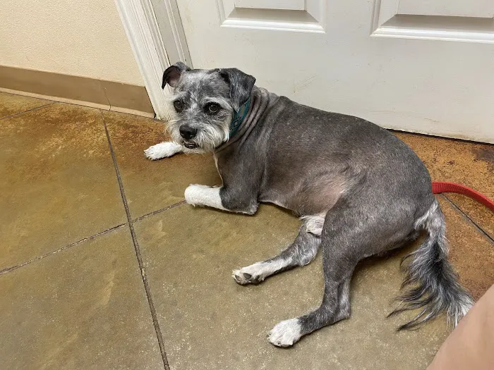 Osage Animal Hospital Picture 7