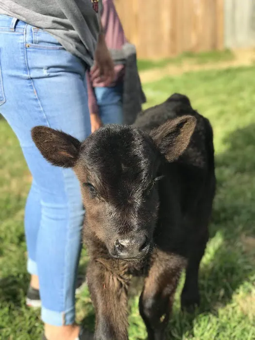 Happy Hollow Animal Hospital Picture 5