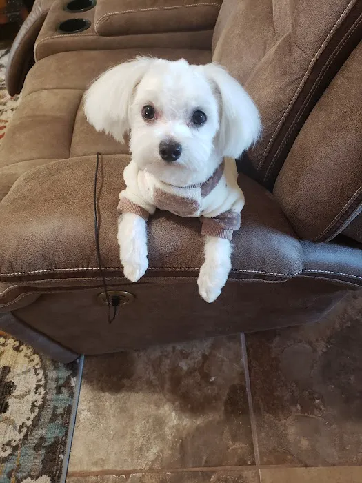 Happy Hollow Animal Hospital Picture 8