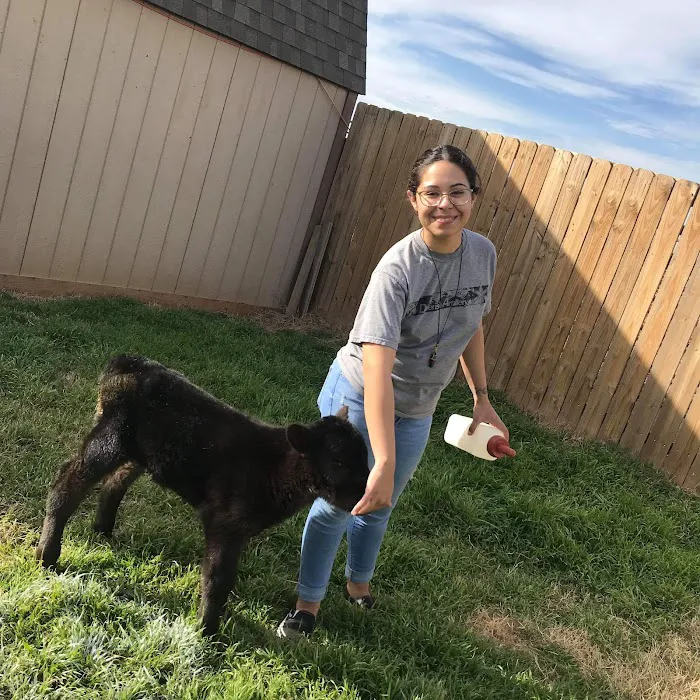 Happy Hollow Animal Hospital Picture 9