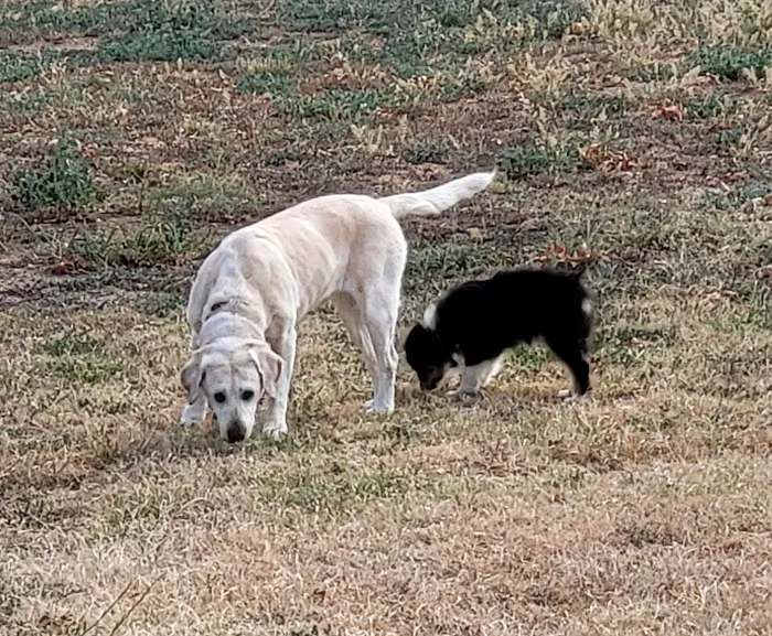 Duncan Veterinary Hospital Picture 2