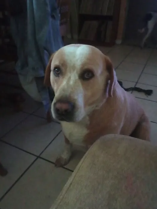 Duncan Veterinary Hospital Picture 3