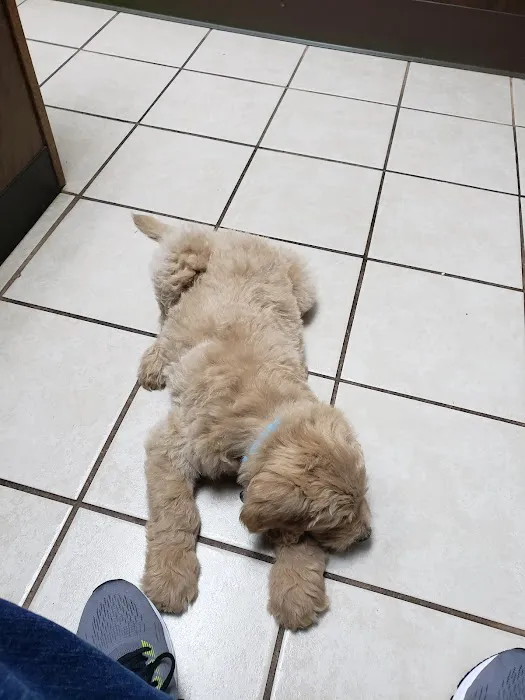 Duncan Veterinary Hospital Picture 5