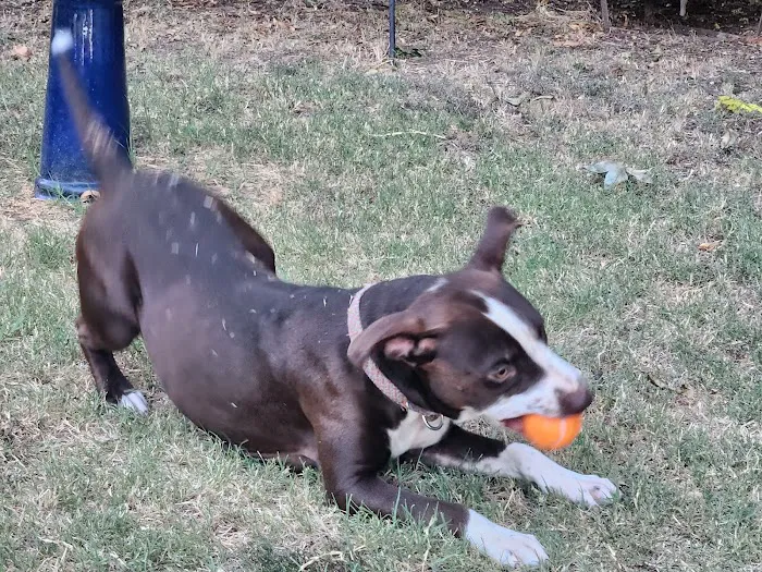 Duncan Veterinary Hospital Picture 6